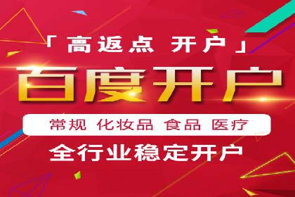 解析某某SEM服务公司的广告投放策略与效果评估